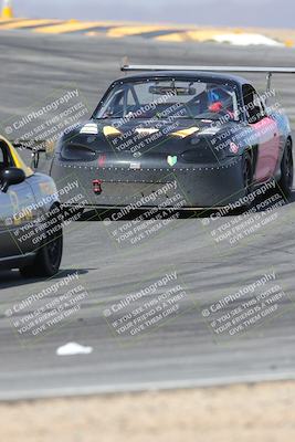 media/Mar-30-2025-Pro Autosports (Sun) [[34ff8f16e0]]/2-Blue-White Group/Main Race/